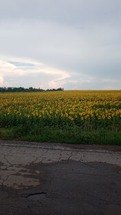 Россия