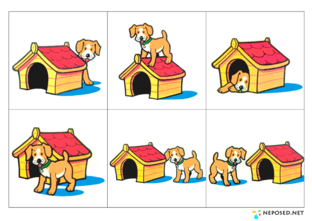 Пространственные представления