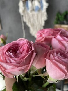 Поднятие настроения 