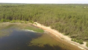 Подмосковье известное и не очень 