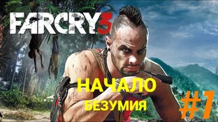 PROFESSIONALPTS FAR CRY 3 (прохождение)