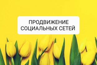 Продвижение соцсетей 