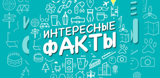 Марафон#2: интересные факты