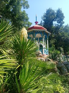 Ботанический сад.