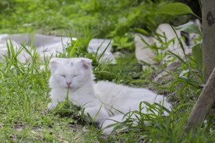 🔥 Самый топ 