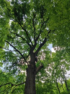 Письма потомкам