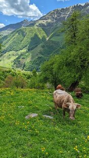 Путешествия 