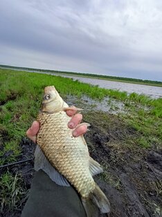Рыбалка на мирную рыбу