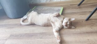 На Раслабоне 