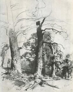 Рисунок