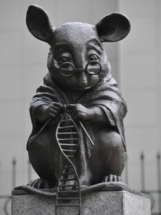 Наука