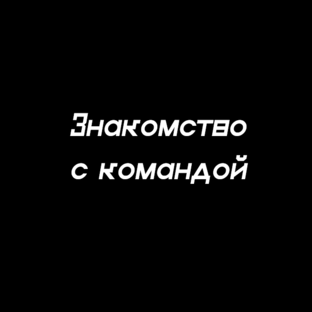 Знакомство с командой