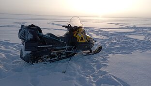 стелс викинг