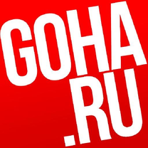 Статистика Дзен GoHa.Ru