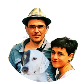 Статистика Дзен ВО Тайм