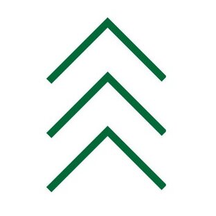 Статистика Дзен Media-polesye.com