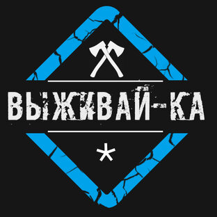 Дзен Выживай-ка статистика