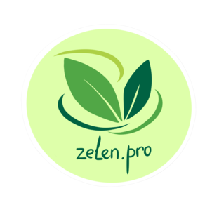Статистика Дзен Zelen.Pro - бизнес, гранты, субсидии