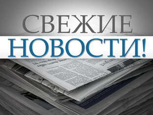 Дзен Красивые девочки статистика