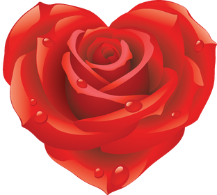 Дзен САМАЯ сАМАЯ статистика