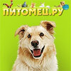 Дзен 🐶ПИТОМЕЦ.РУ🐱  статистика