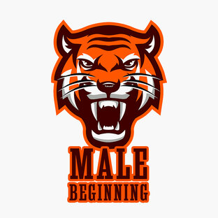 Дзен Male Beginning статистика