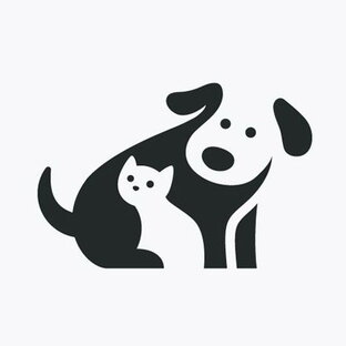 Яндекс дзен Про кошек и собак статистика