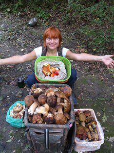 Статистика Дзен Грибное лукошко и рыбацкий садок