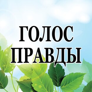 Статистика Дзен Голос правды