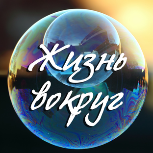 Дзен Жизнь вокруг статистика