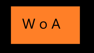 Дзен W O A статистика