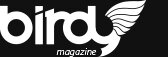 Дзен Birdymag.ru статистика