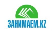 Статистика Дзен Занимаем.kz