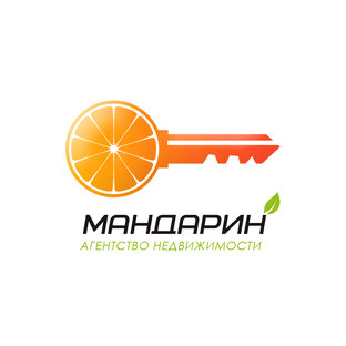 Дзен Агентство недвижимости Мандарин  статистика