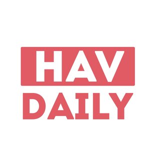 Дзен HAVDAILY статистика