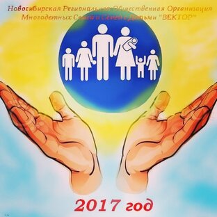 Статистика Дзен НРООМСиСД "Вектор"