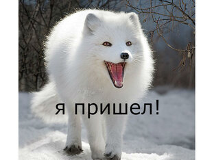 Дзен Двое на распутье. статистика