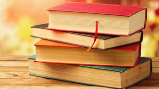 Дзен Книги для души статистика