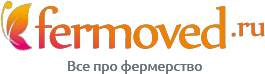 Дзен Fermoved статистика