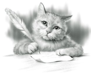 Дзен КОТЫ И ЛЮДИ статистика