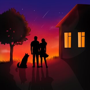 Статистика Дзен Из квартиры в дом