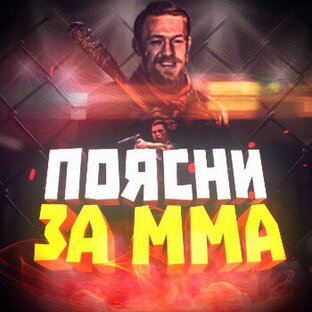 Дзен Поясни за MMA статистика