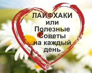 Дзен Народный советник статистика