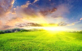 Дзен Жизненный наблюдатель статистика