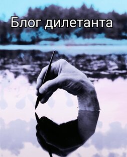 Статистика Дзен Блог дилетанта