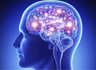 Дзен Разминка мозга🧠🤯 статистика