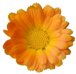 Дзен VillageArt статистика