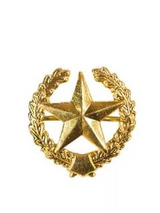 Дзен Strategy статистика