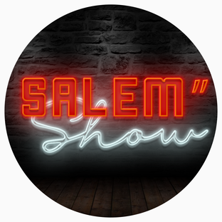 Статистика яндекс дзен Salem Show