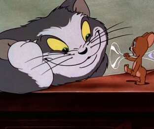 Статистика Дзен Tom&Jerry